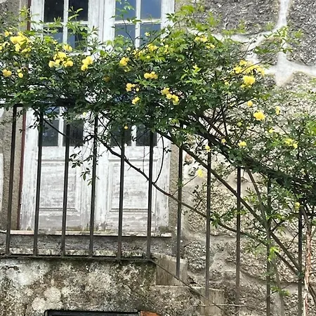 Casa Azul Tatil Evi *