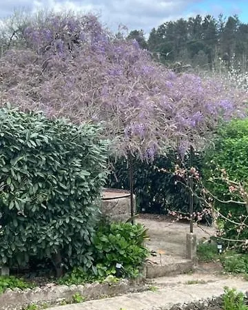 別荘 Casa Azul