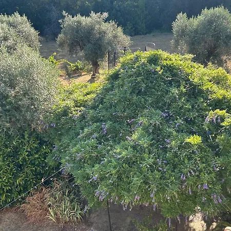 Tatil Evi Casa Azul Tábua