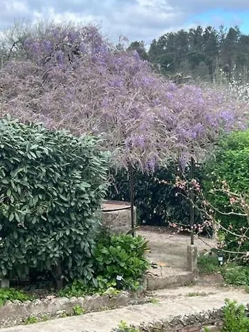 Vakantiehuis Casa Azul
