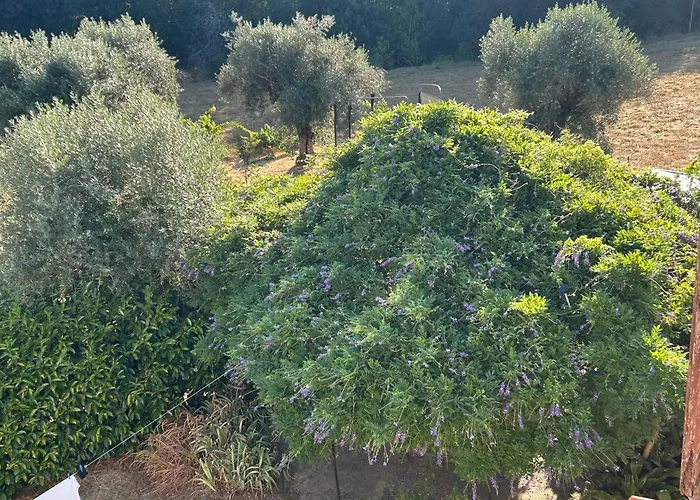 Дом отдыха Casa Azul Табуа