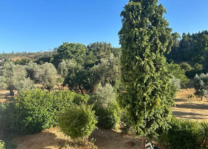 Дом отдыха Casa Azul *